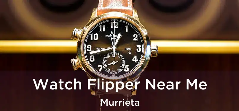 Watch Flipper Near Me Murrieta